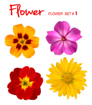 Big set of beautiful colorful flowers. Design flower set