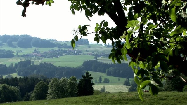 Naturausblick