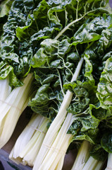 Silver beet at market stall