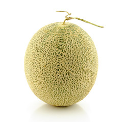 cantaloupe melon