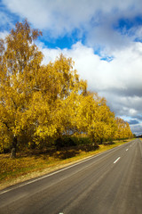 autumn road