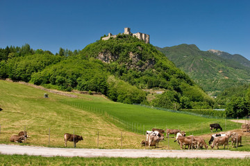 Pergine Valsugana, il castello