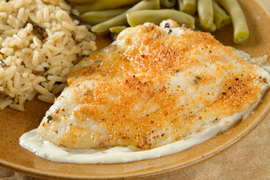 tilapia parmesan meal