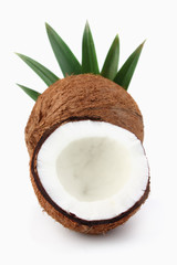 Coconut with leaves