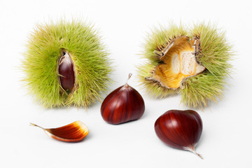 chestnuts fresh fruits and seeds on white backgroud