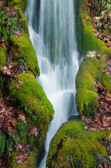 a creek's waterfall passes through moss-covered rocks in autumn © YK