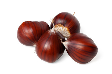 chestnuts isolated on white background