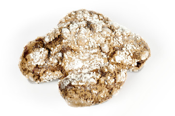 colomba artigianale