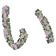 Japanese Characters hiragana, made from flower photo.