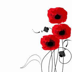 a bouquet of poppies