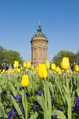 Wasserturm Mannheim