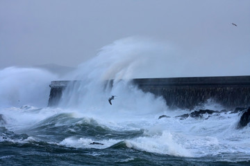 Naklejka premium Crashing waves