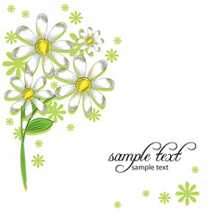 vector background of daisies