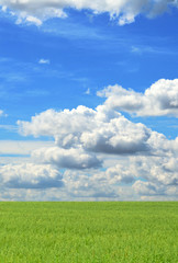 Spring landscape, green field and blue cloudy sky