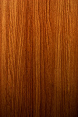wood texture