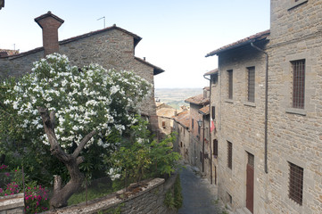Fototapeta na wymiar Cortona (Arezzo)