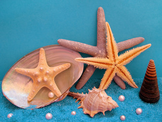 Shells,sea stars and pearls on interesting blue background