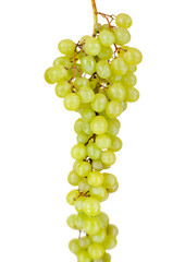 green grapes