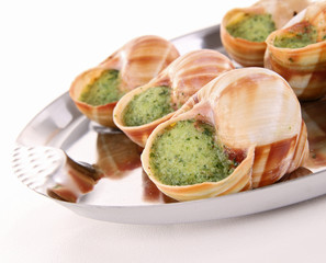 bourgogne snails