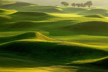 Foto op Plexiglas golf place with nice green © nicholashan