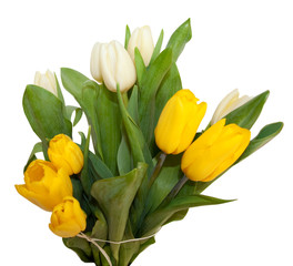 bouquet of yellow and white tulips isolated on white