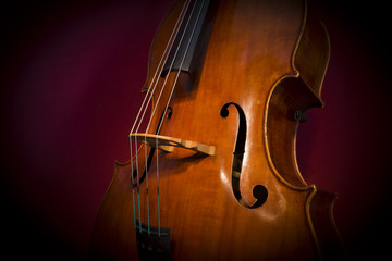 Fototapeta premium Contrabbasso