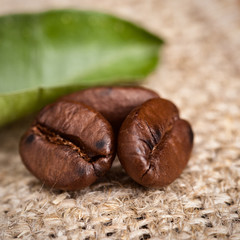 Coffee Beans