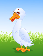 Duck cartoon