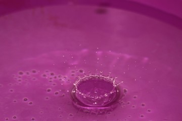 Gouttes d'eau roses