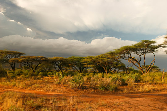 Landscape of Samburu before storm, Samburu, Kenya