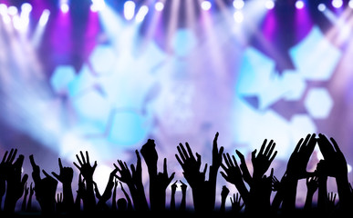 Concert crowd