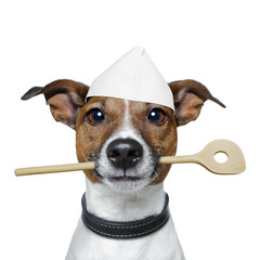 chef dog with cooking  spoon