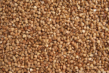 buckwheat close-up