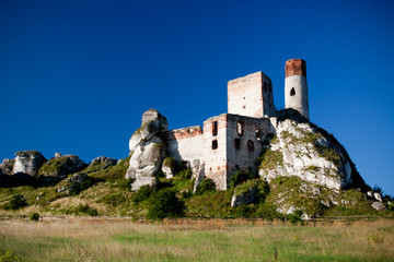 Fototapeta na wymiar Stare ruiny zamku w pobliżu: Częstochowa