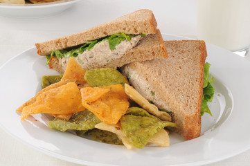 Tuna sandwich on whole wheat bread