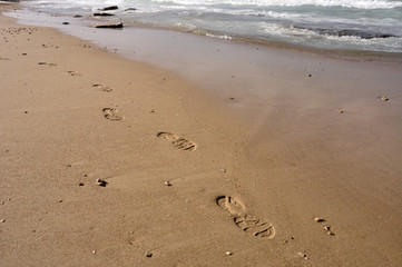 Footprints in the sand along the shore