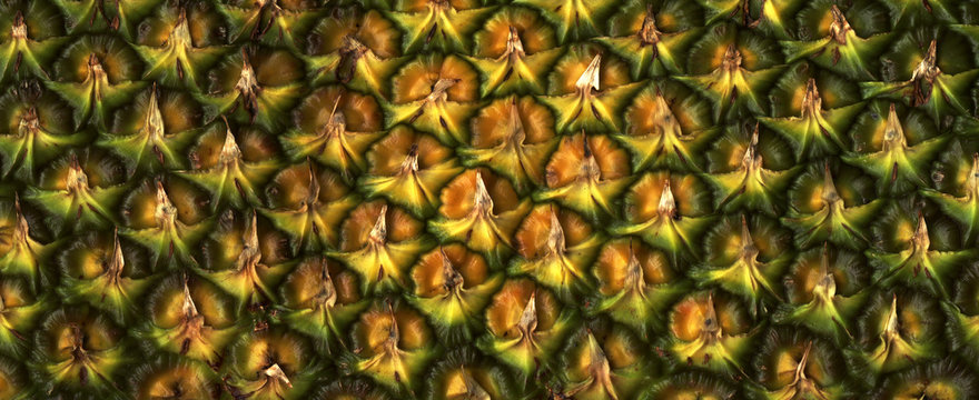Surface of pineapple close up