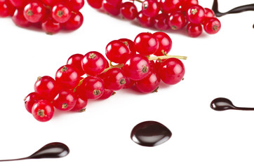 Red currant close up on the white