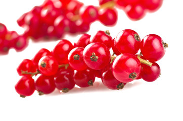 Red currant close up on the white