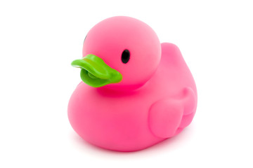 Single pink rubber duck on white