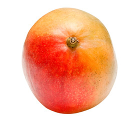 Mango isolated on white background