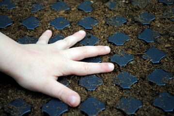 kid hand over a sown seedbed