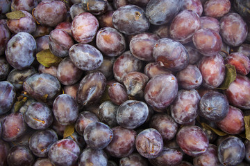 Green Gade Plums Background