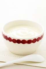 fresh delicious sour cream