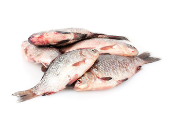 Fresh fishes isolated on white
