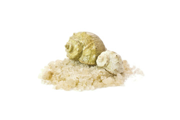 Морская соль и ракушки