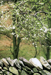 lake district
