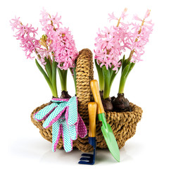 Gardening in spring time