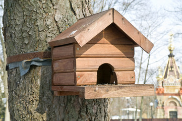 Feeding trough for the birds