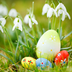 easter eggs in grass and snowdrops
